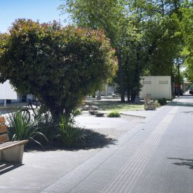 Vereda